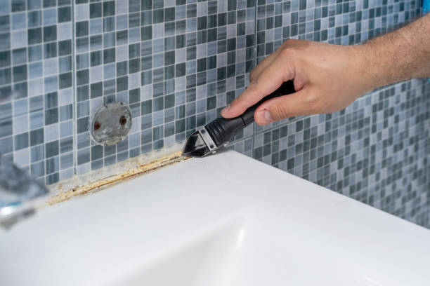 Best White Mold Remediation in Farngton, MI